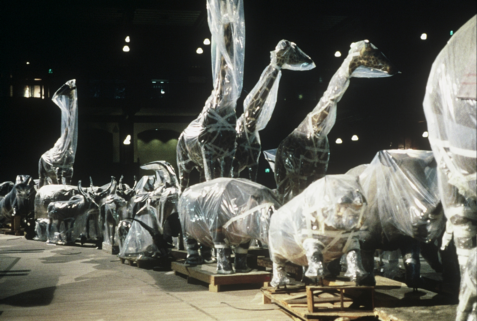 Un animal, des animaux - Nicolas Philibert