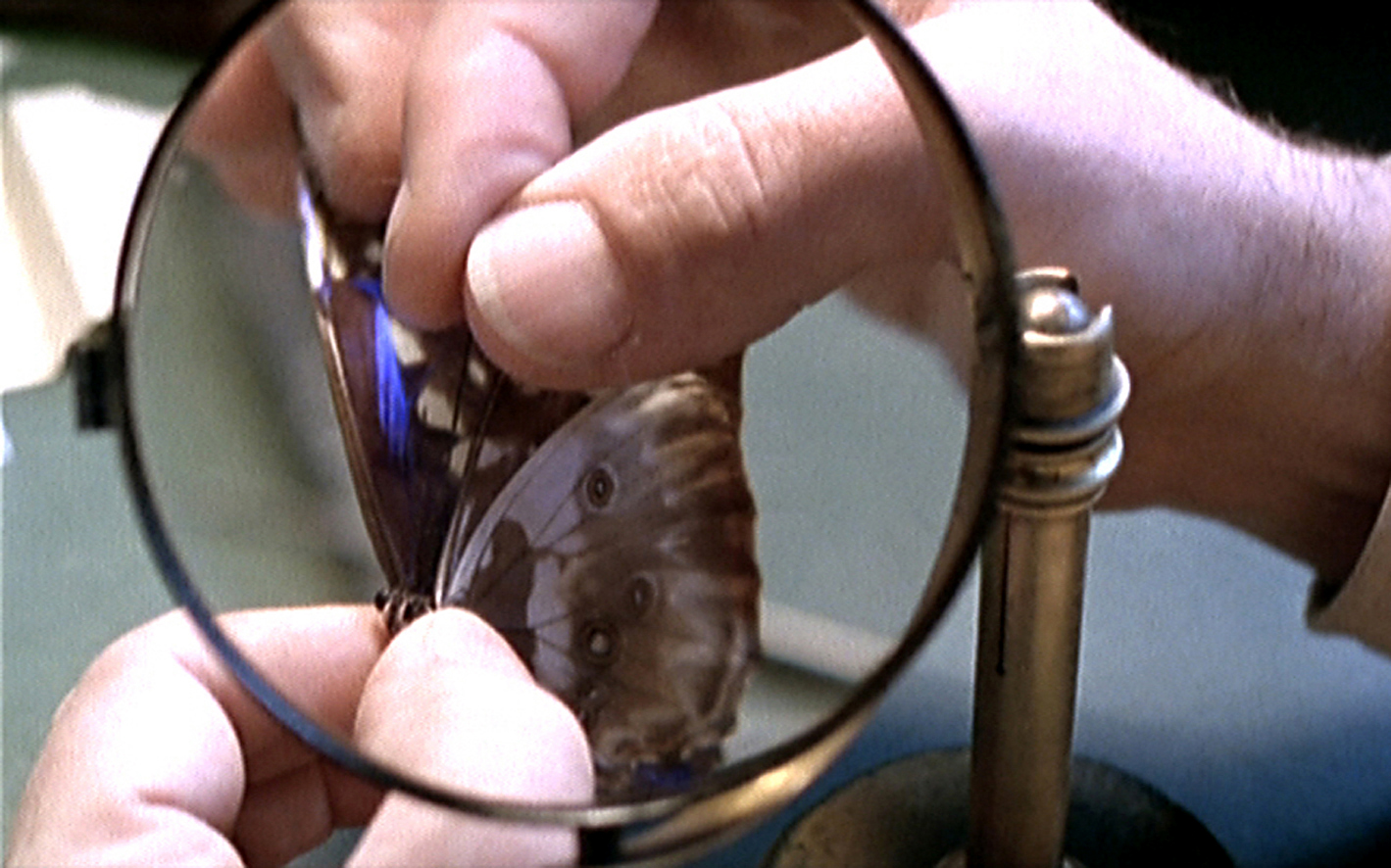 Un animal, des animaux - Nicolas Philibert