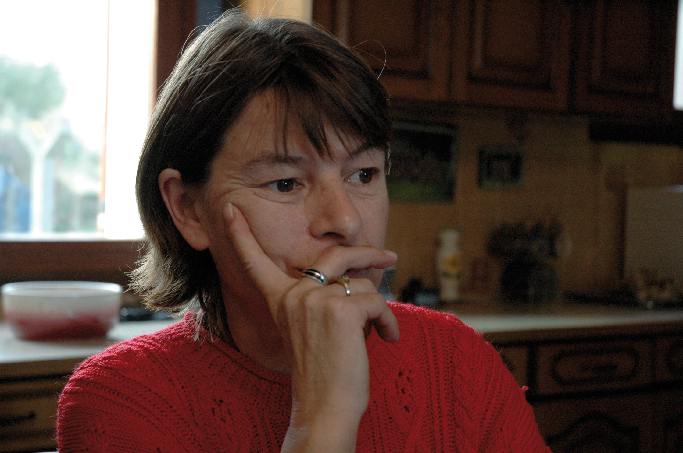 Retour en Normandie - Nicolas Philibert