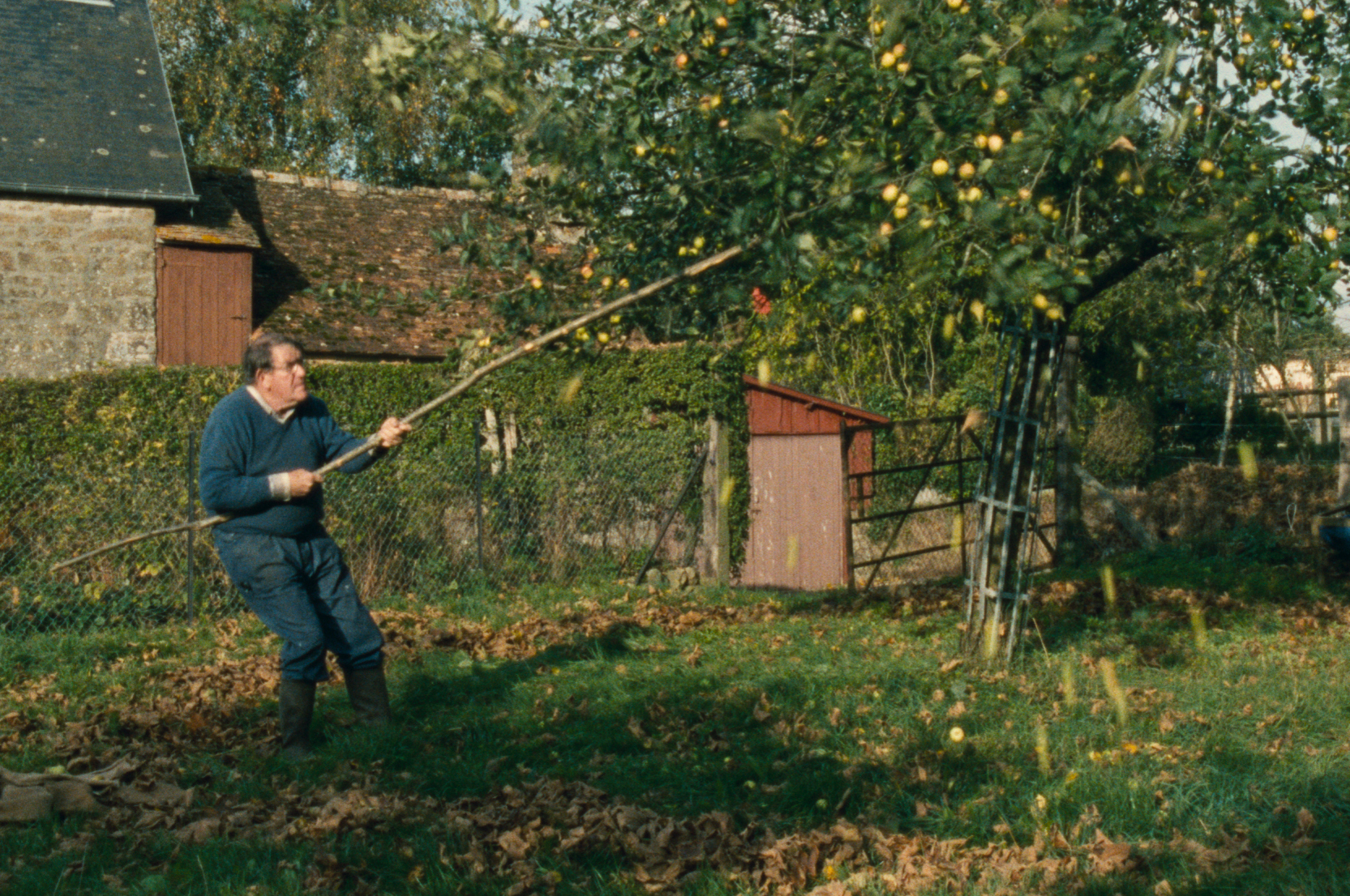 Retour en Normandie - Nicolas Philibert